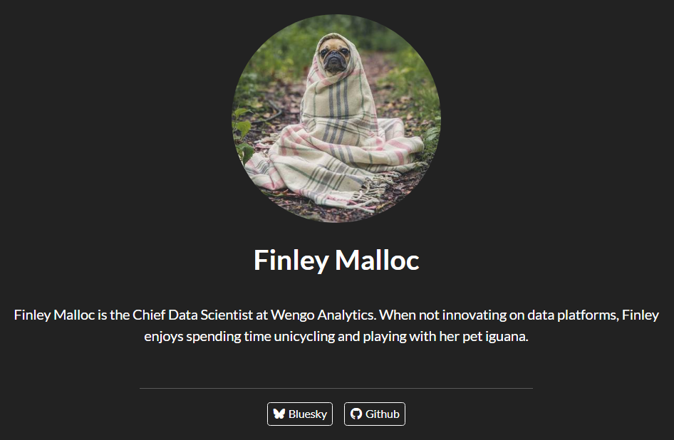 Screenshot of an about page. It has a large round circle in the top center with an image shown. Below that is a name in large type, with smaller placeholder body text beneath it. There are two buttons at the bottom, one for Bluesky, and one for GitHub.